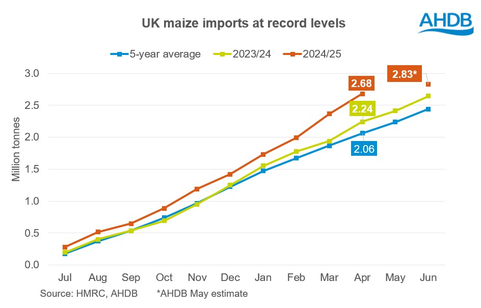 UK maize import 17 06 2025